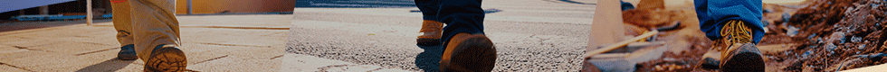 spot_img