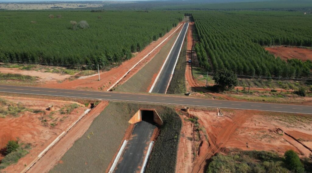Investimento em estradas transforma a mobilidade e encurta distâncias em Mato Grosso do Sul Investimento em estradas transforma a mobilidade e encurta distâncias em Mato Grosso do Sul